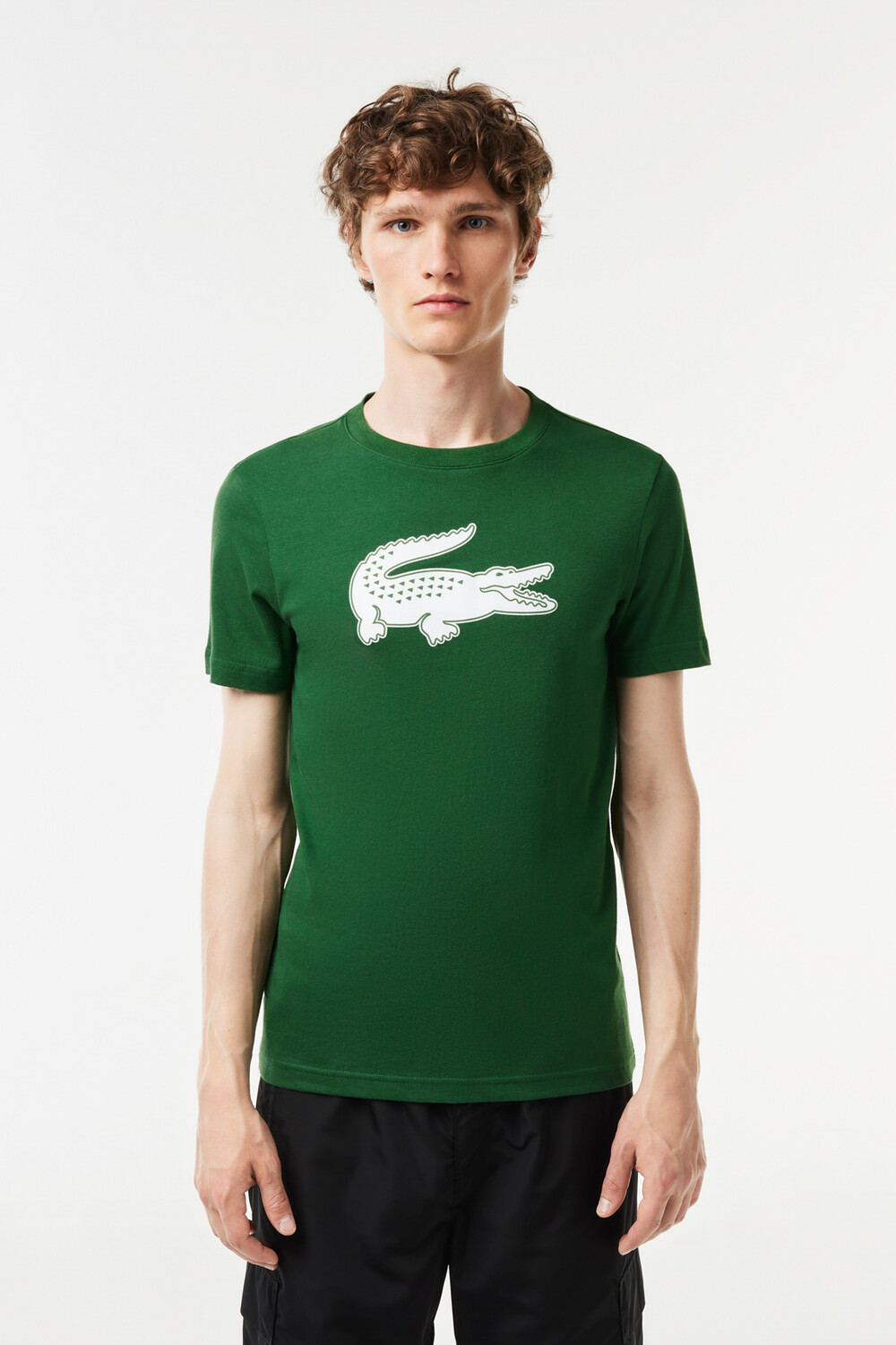 

Зеленая/белая-291 мужская футболка Lacoste, зеленый