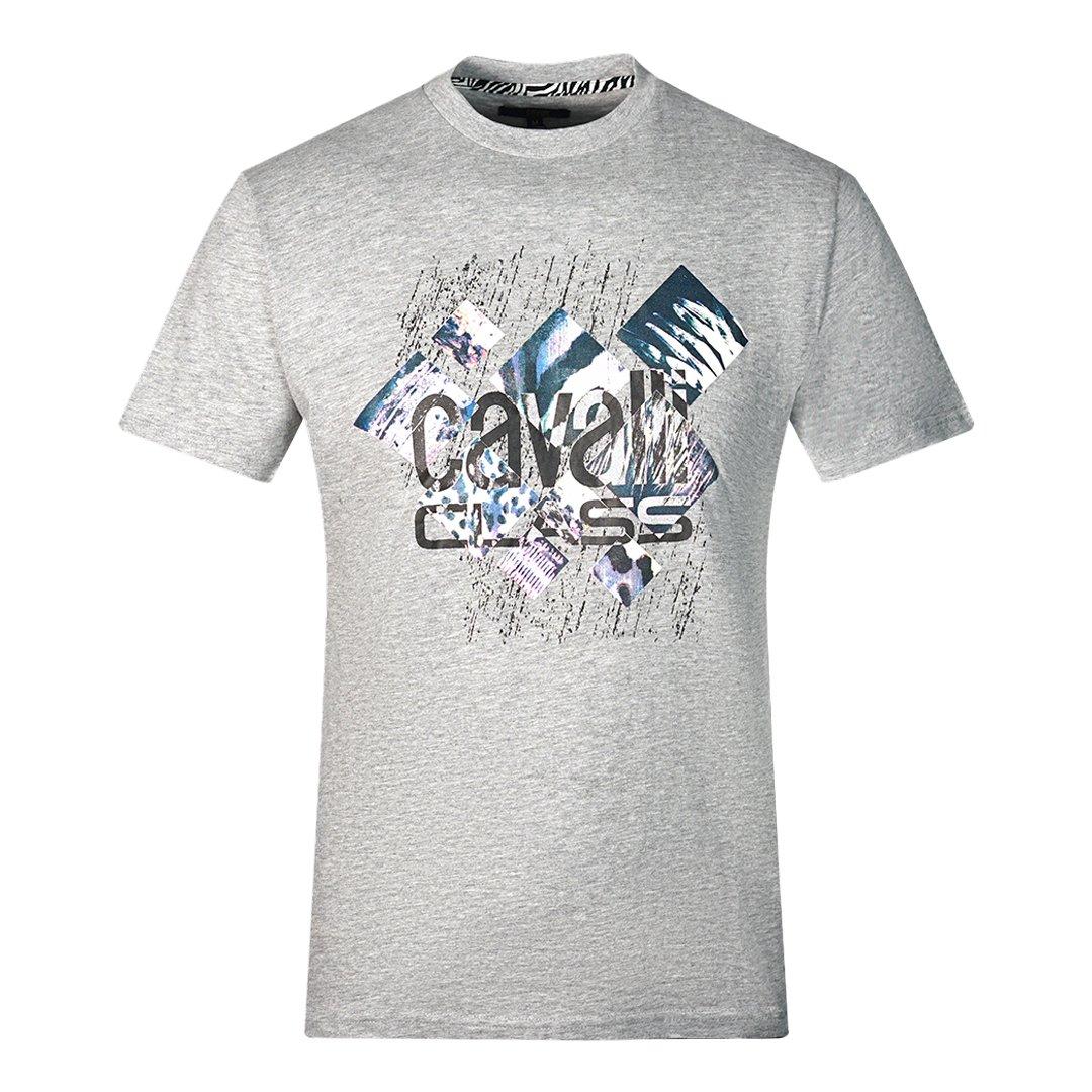 цена Серая футболка Diamond Window Of Tiger Design Cavalli Class, серый