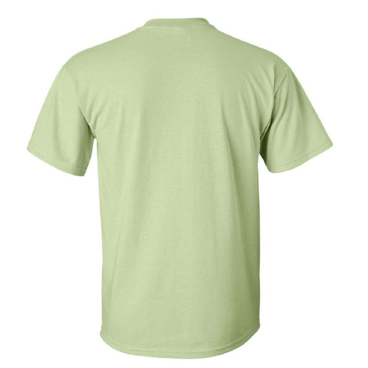Мужская футболка из ультрахлопка с коротким рукавом Floso iggy azalea