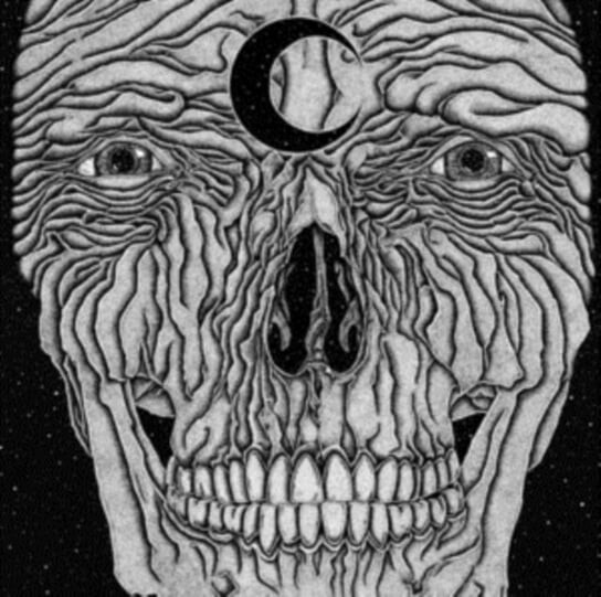 

Виниловая пластинка Call of the Void - Ageless