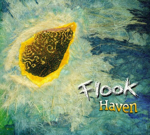

CD диск Flook: Haven