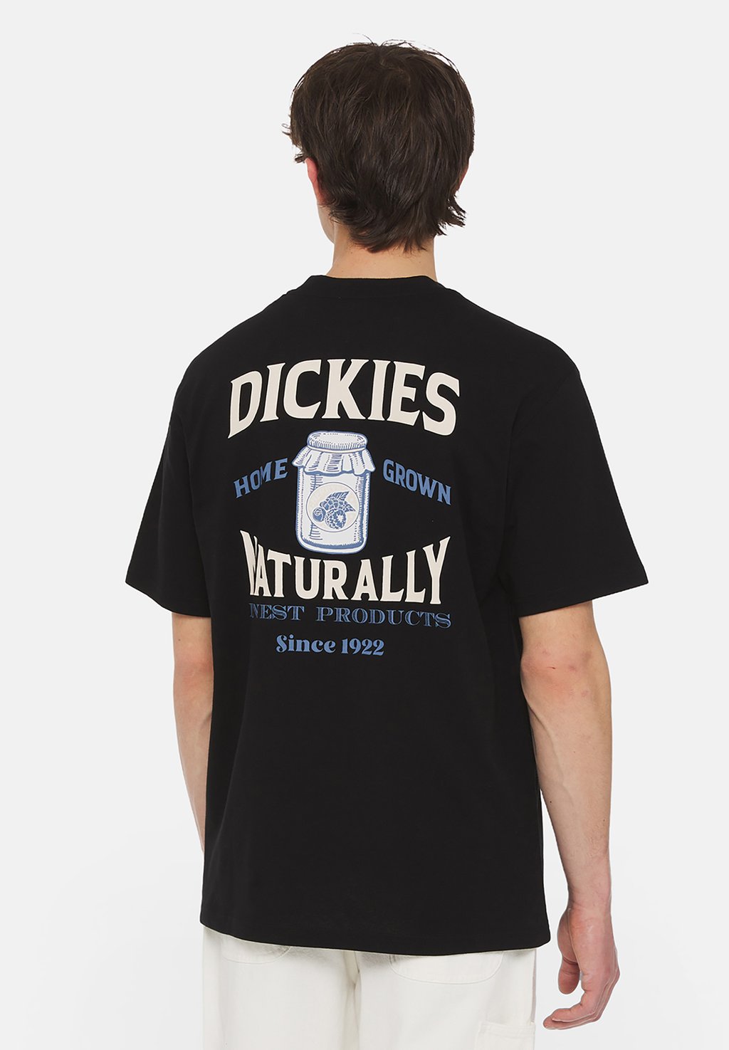 

Футболка с принтом Elliston Tee Dickies, черный