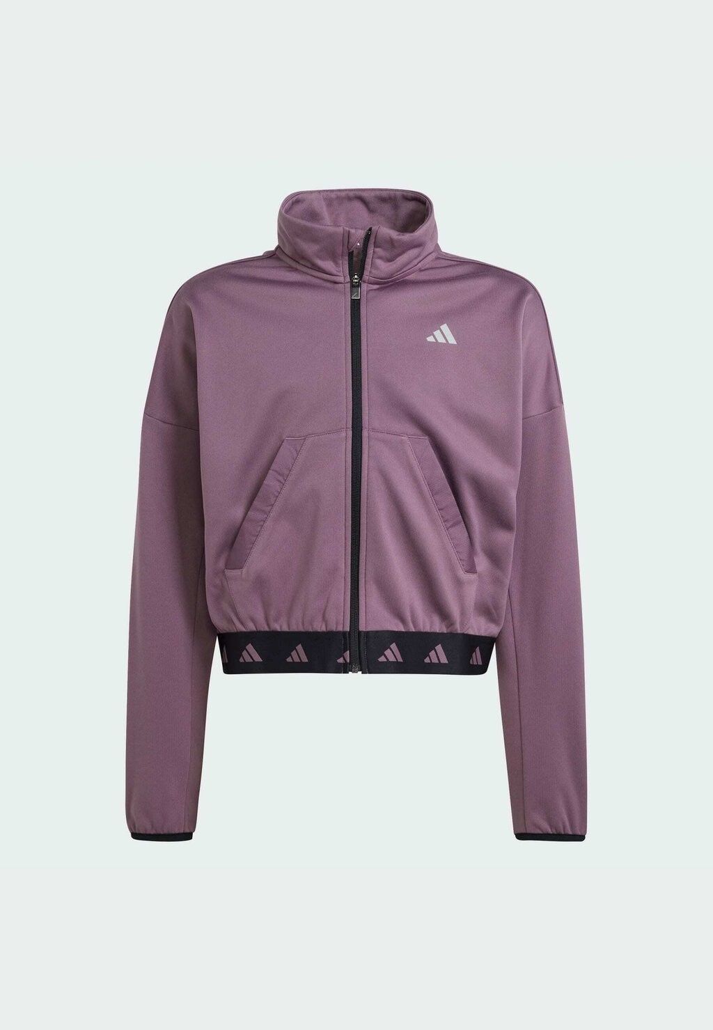 

Куртка тренировочная adidas Sportswear, Shadow fig черная