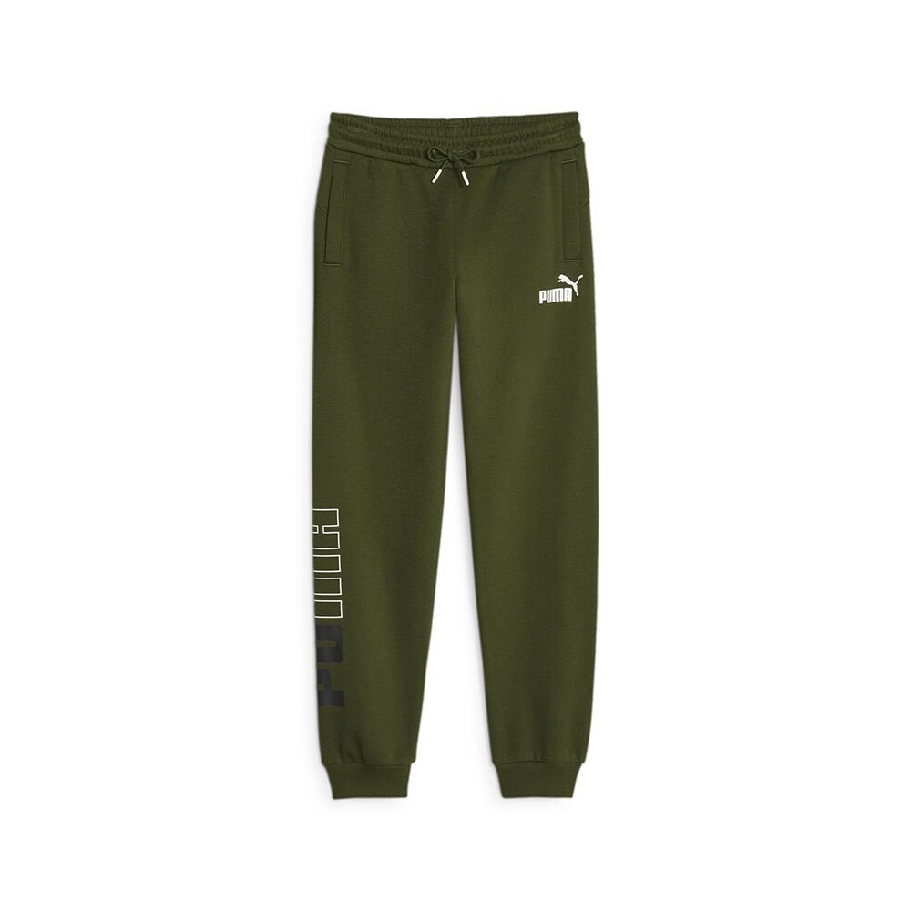 

Спортивные брюки Puma Power Colorblock FL B, зеленый