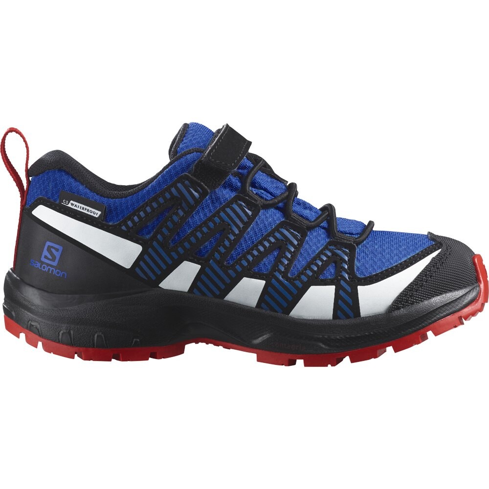 

Походная обувь Salomon XA Pro V8 CSWP, синий