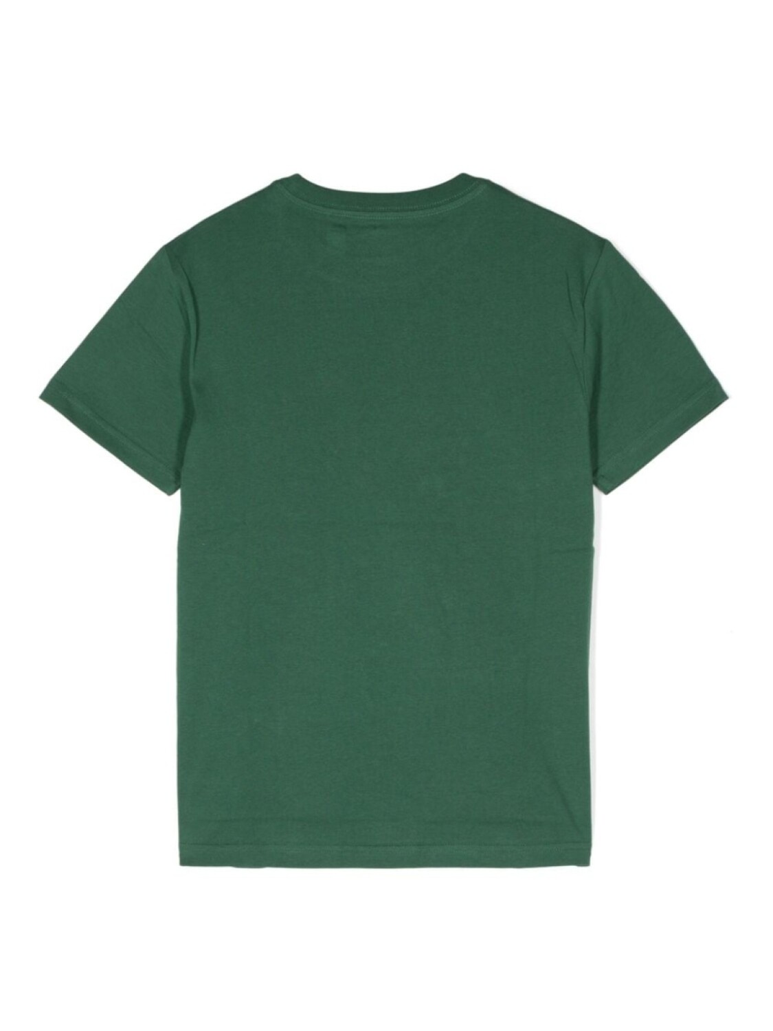 

Ralph Lauren Kids футболка с вышивкой Polo Pony, зеленый