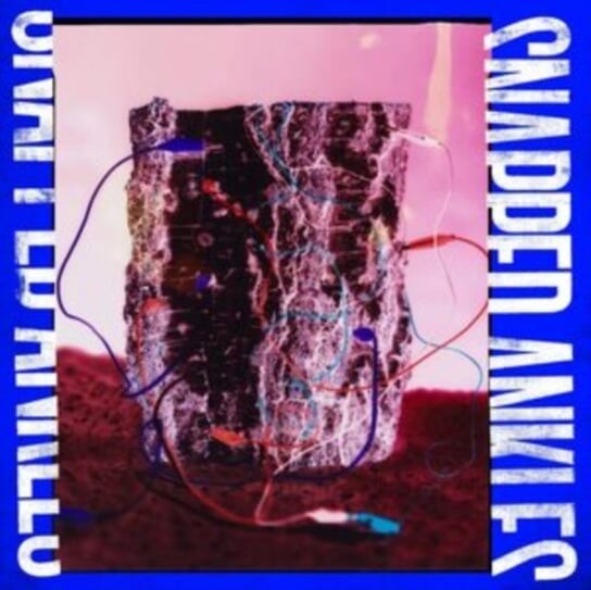 

Виниловая пластинка Snapped Ankles - Forest of Your Problems