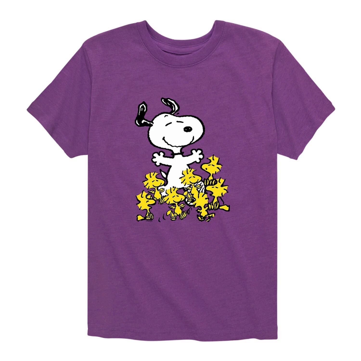 

Вечеринка с арахисом для мальчиков 8–20 лет и футболкой с рисунком Snoopy Licensed Character