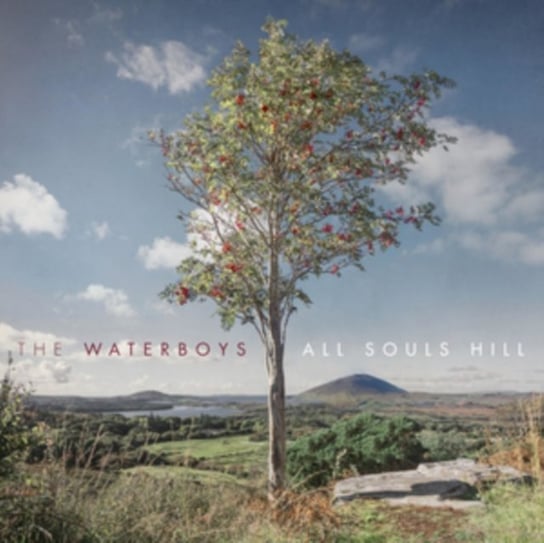 Виниловая пластинка The Waterboys - All Souls Hill цена и фото