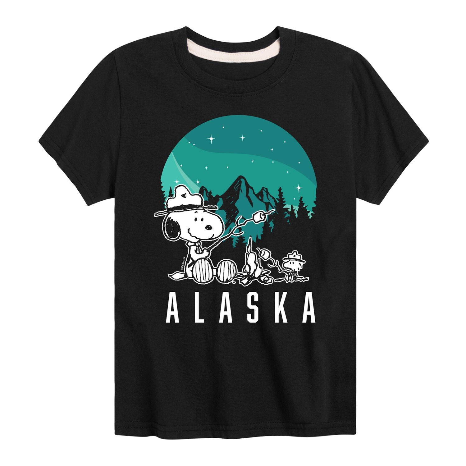 

Футболка с рисунком для кемпинга Peanuts Alaska для мальчиков 8–20 лет Licensed Character, черный