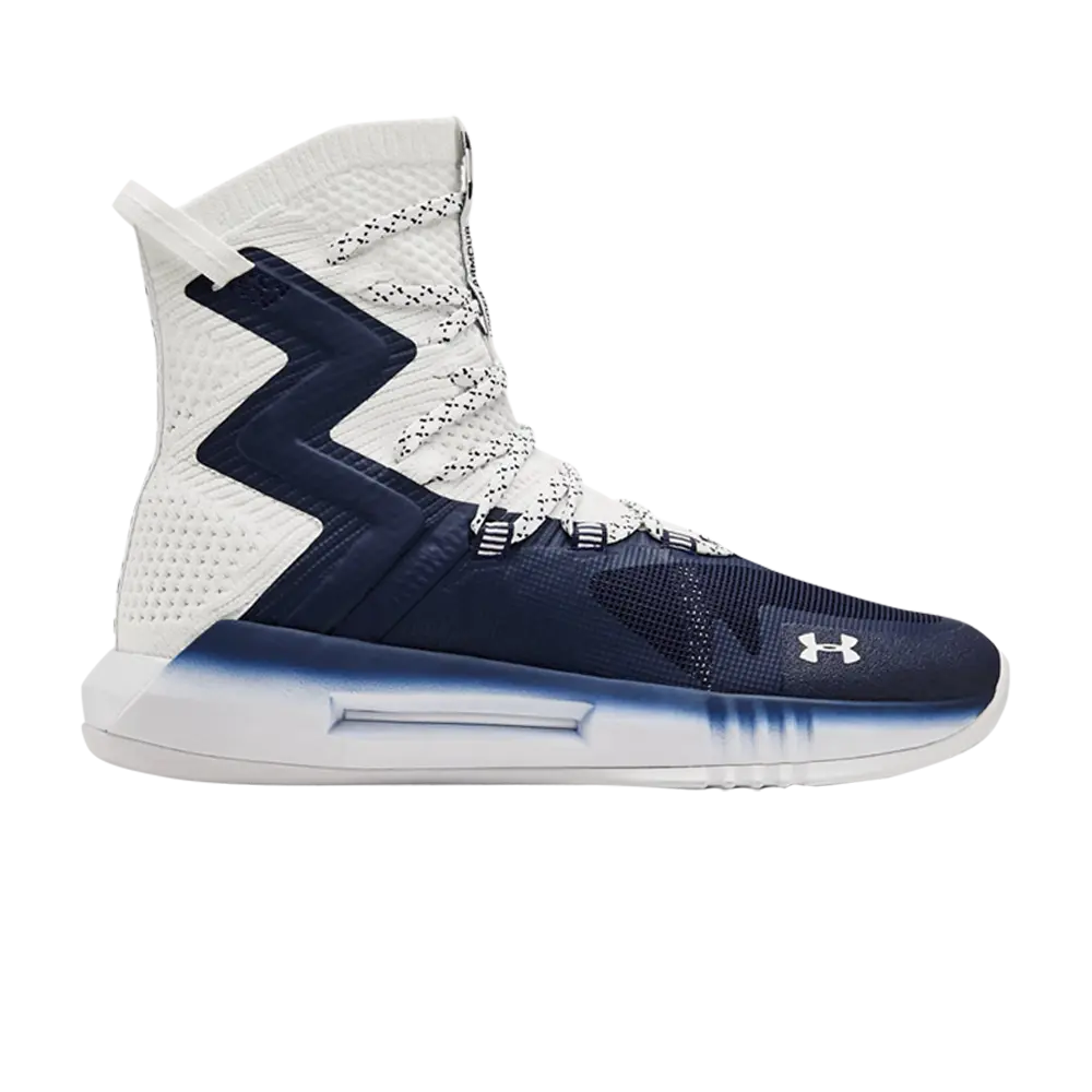 

Волейбольные кроссовки Under Armour Highlight Ace 2.0, синий