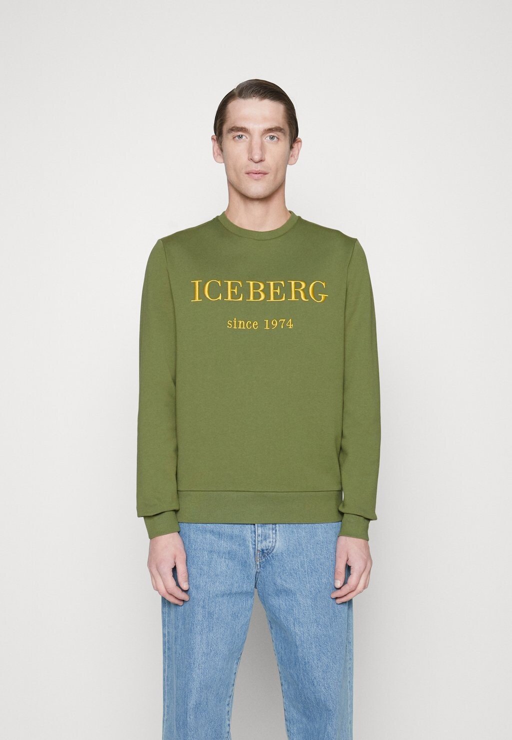 

Толстовка Iceberg