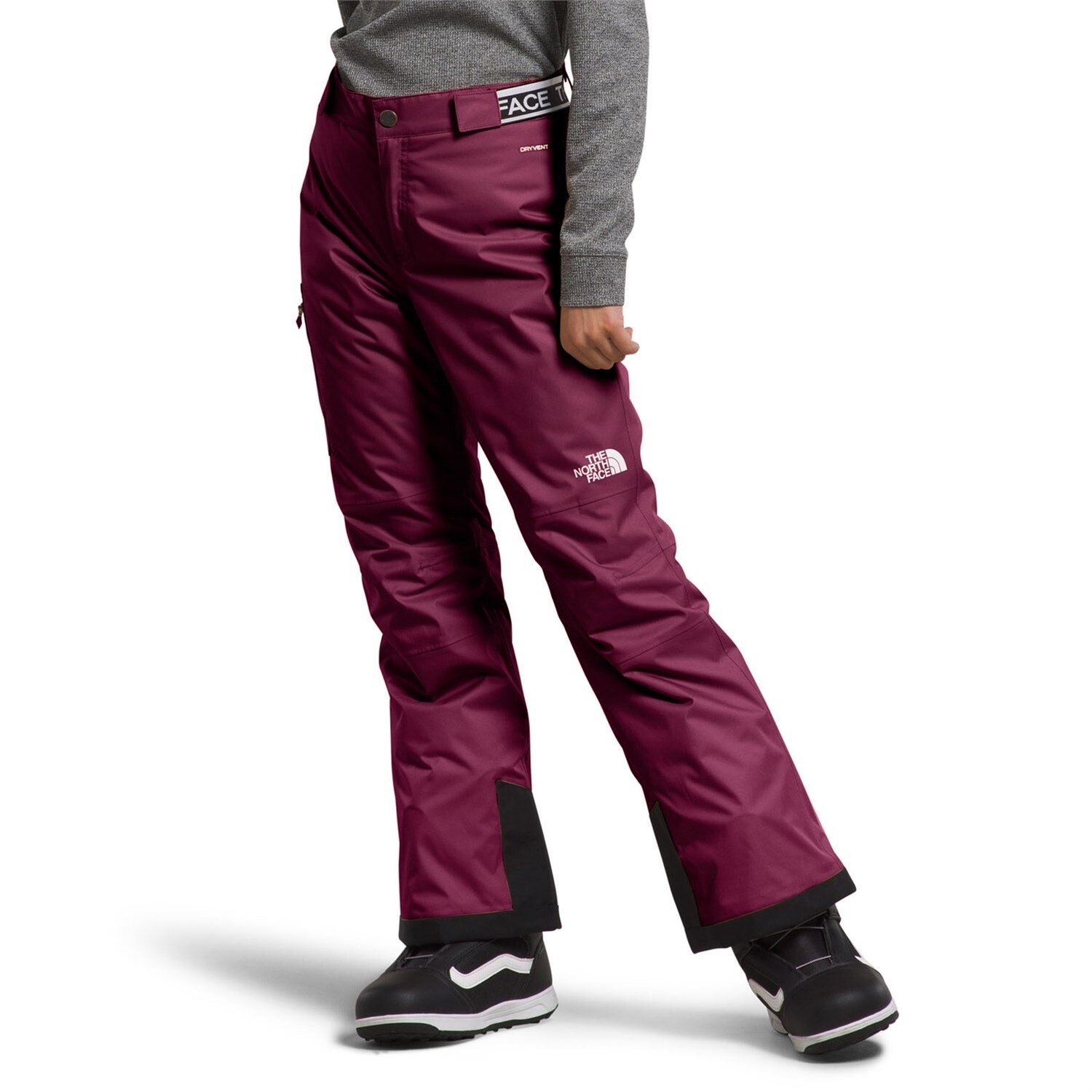 

Брюки The North Face Freedom Insulated, цвет Boysenberry