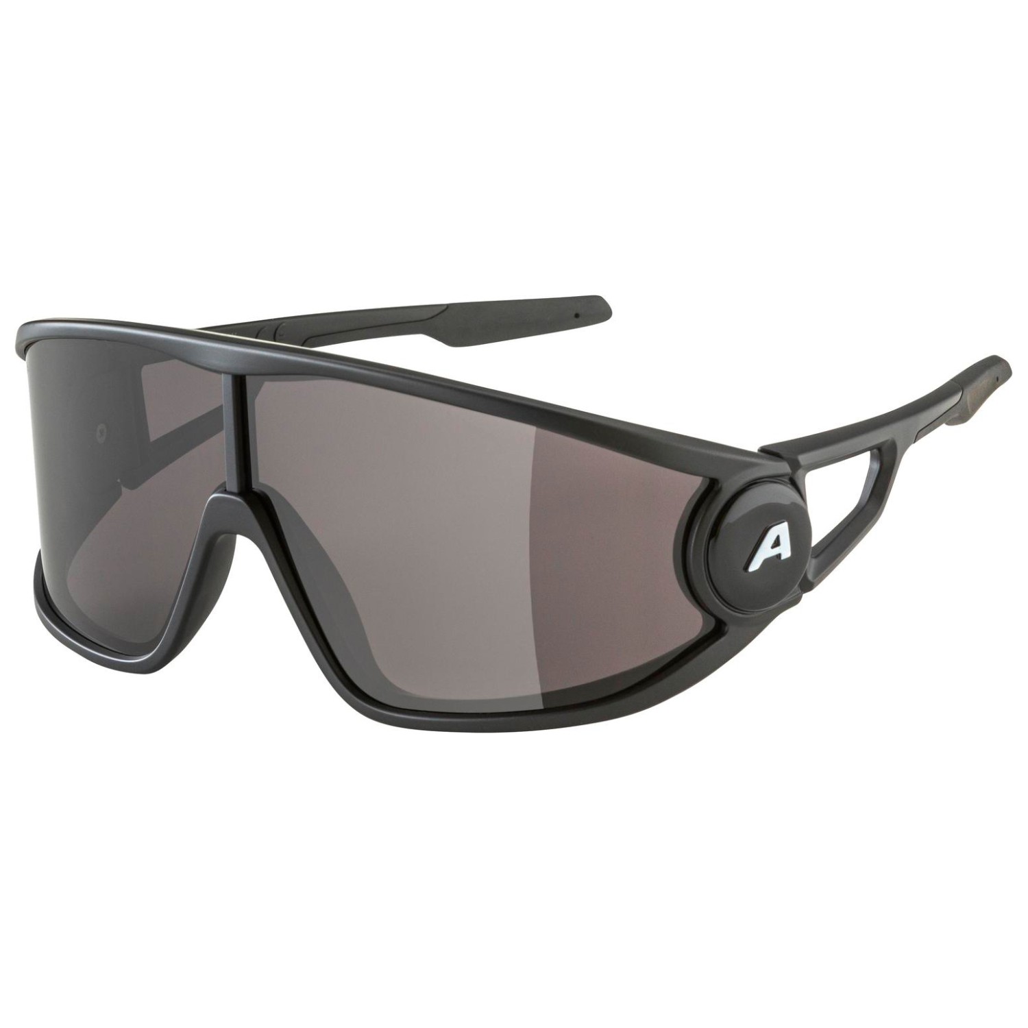 Солнцезащитные очки Alpina Legend Cat 3, цвет Black Matt