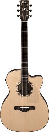 

Акустическая гитара Ibanez Fingerstyle Series ACFS580 Acoustic Electric Guitar with Case
