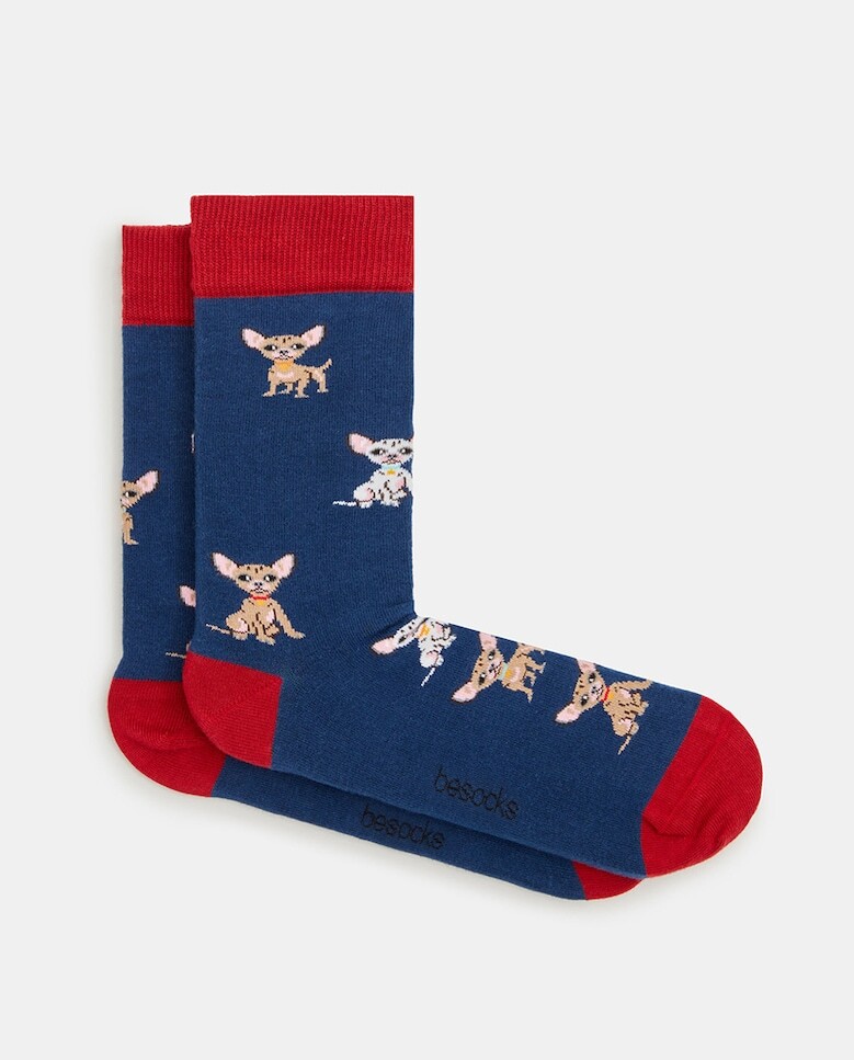 

Модные мужские носки для чихуахуа Besocks, синий