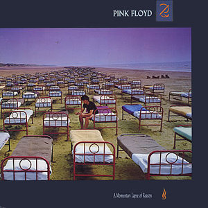 pink floyd pink floyd a momentary lapse of reason 180 gr Виниловая пластинка Pink Floyd - A Momentary Lapse Of Reason (Remastered)
