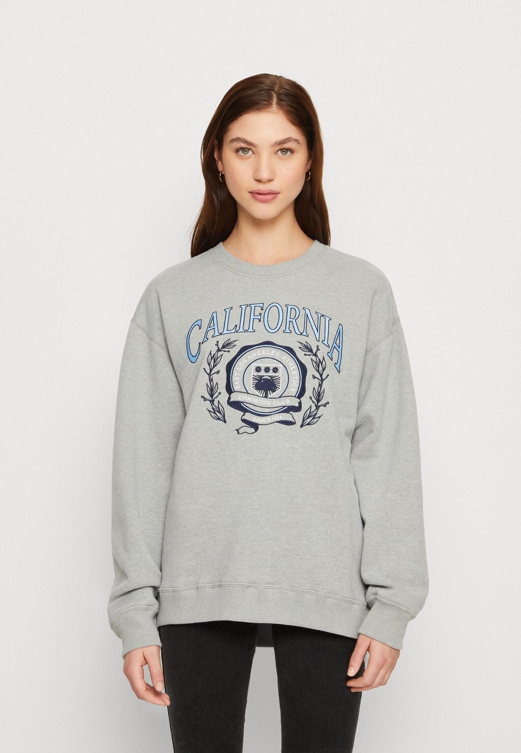 

Толстовка Hollister Co., светло-серый