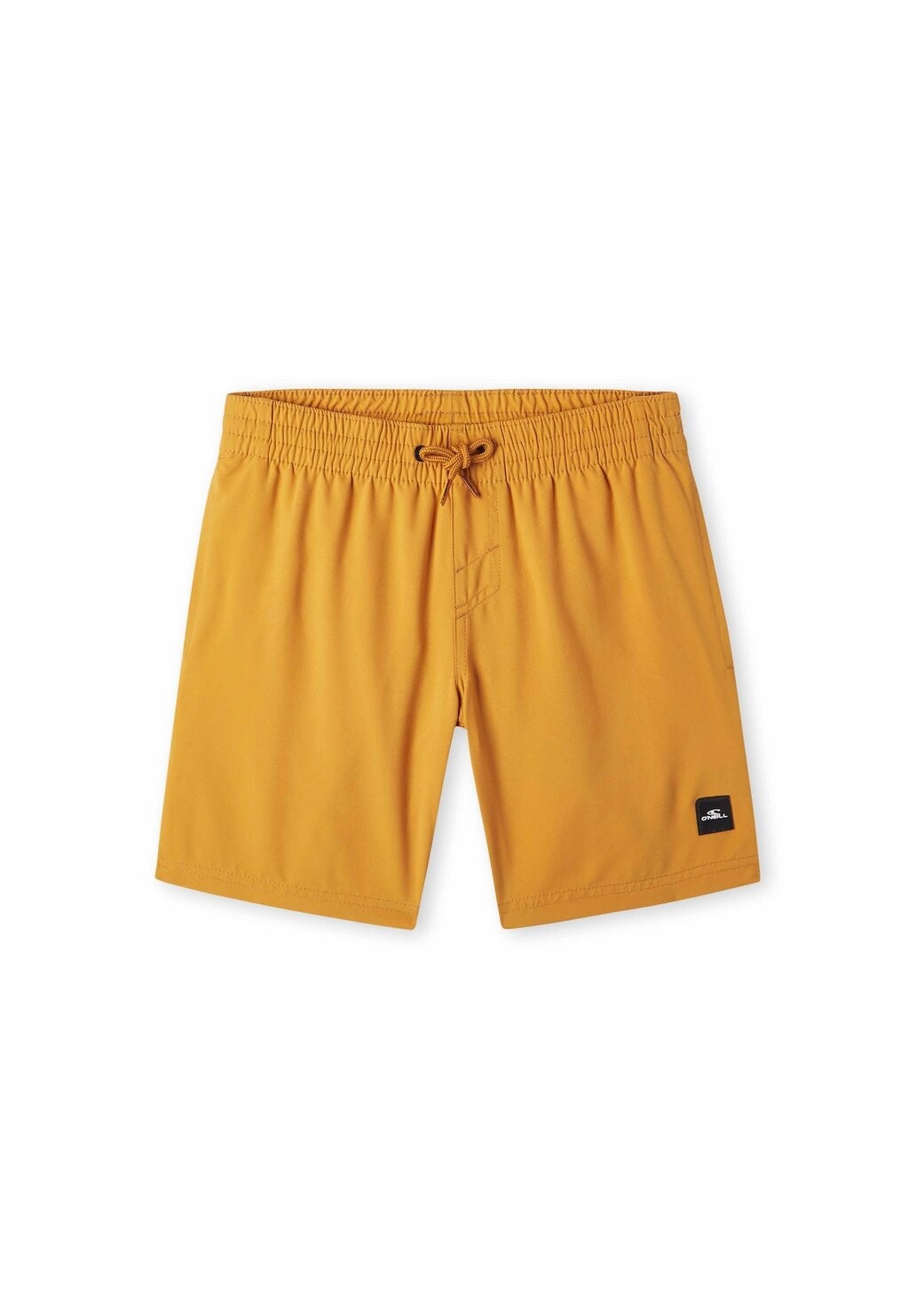 

Шорты для плавания FUTURE SURF SOCIETY O'Neill, цвет nugget