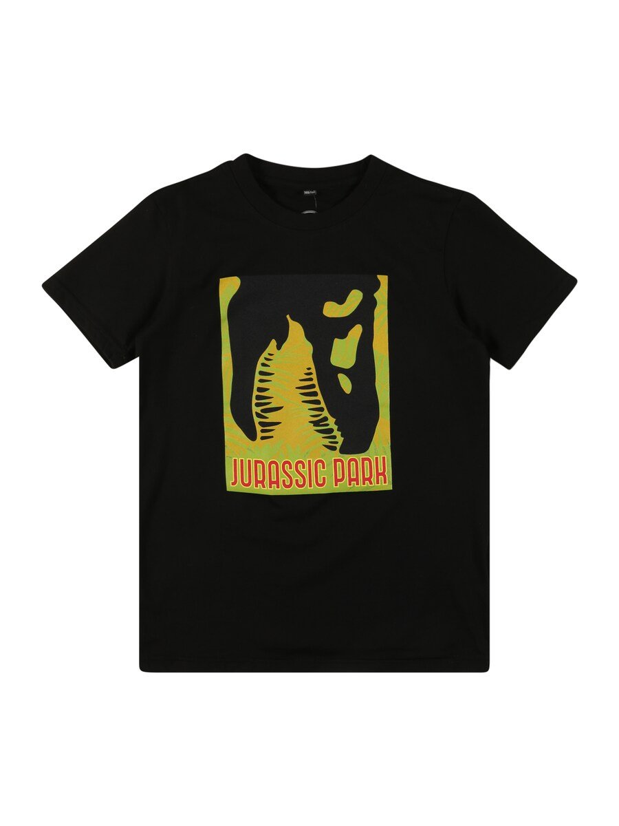 

Футболка Mister Tee JURASSIC PARK, черный