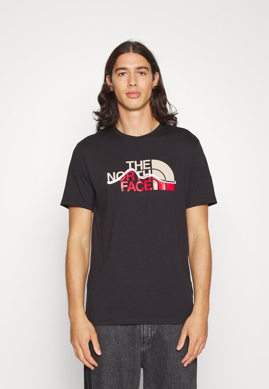 

Футболка с принтом The North Face, черный