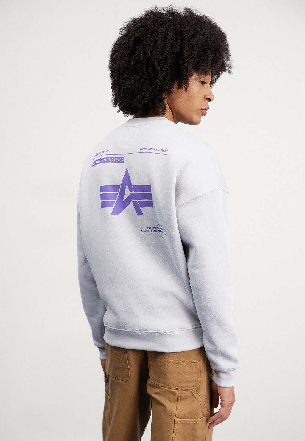 

Свитер Logo Alpha Industries, светло-серый
