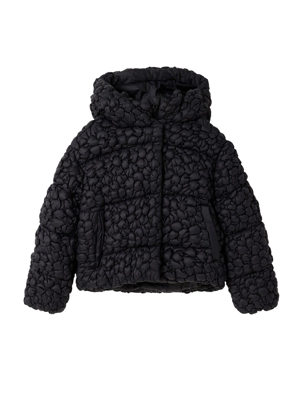 

Зимняя куртка Desigual, черный