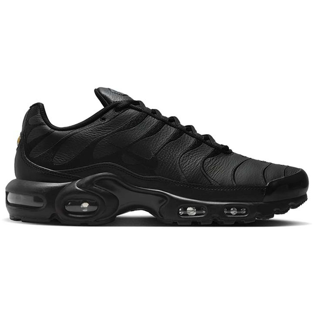 

Кроссовки Nike Air Max Plus, синий