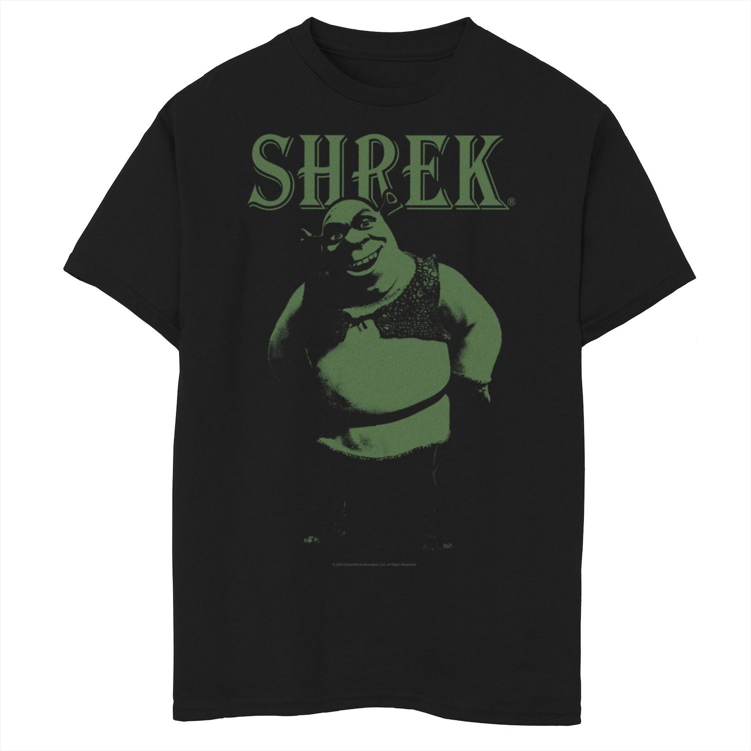 Темная футболка с рисунком «Шрек» для мальчиков 8–20 лет DreamWorks