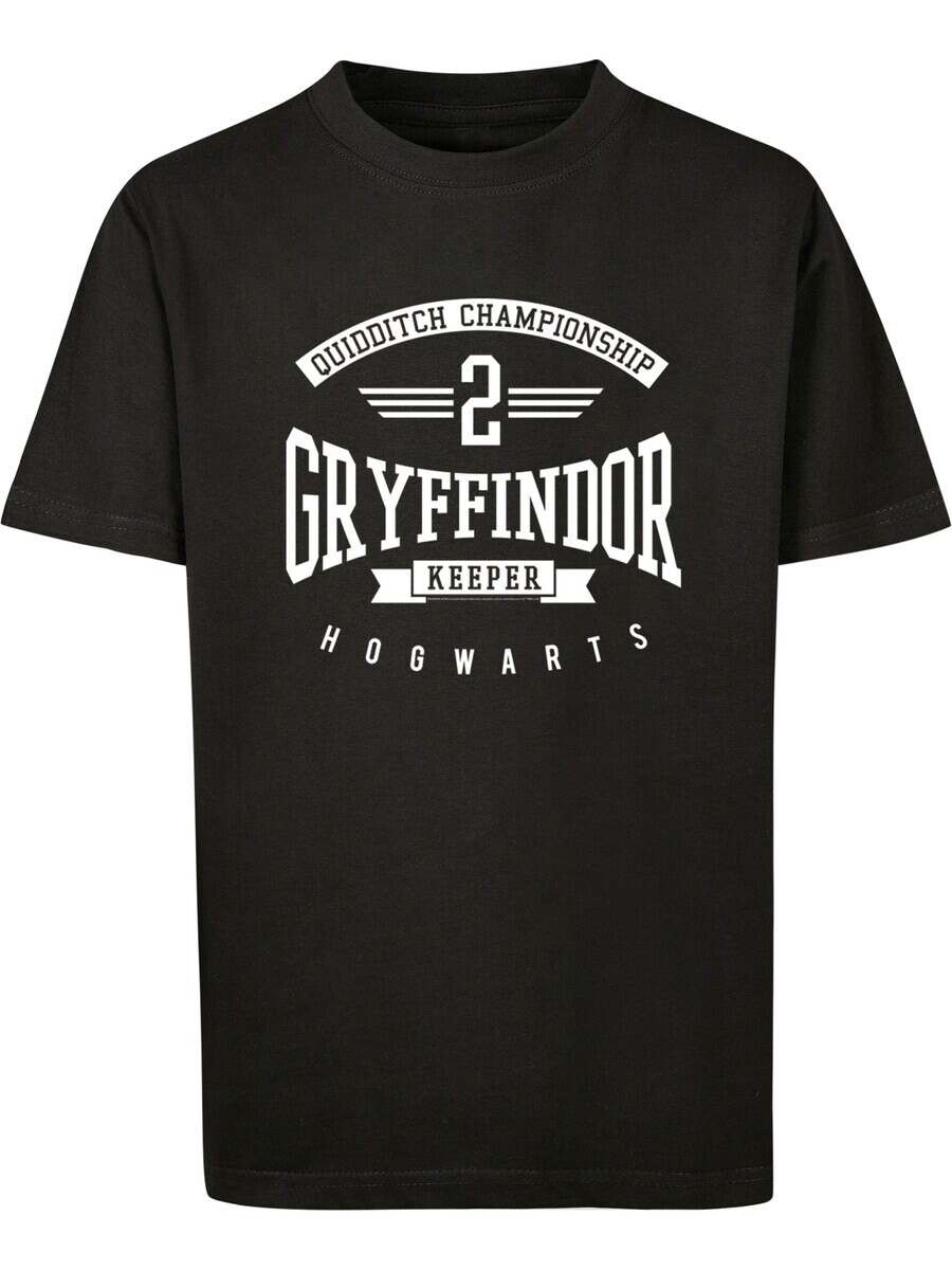 

Футболка F4NT4STIC Harry Potter Gryffindor Keeper, черный
