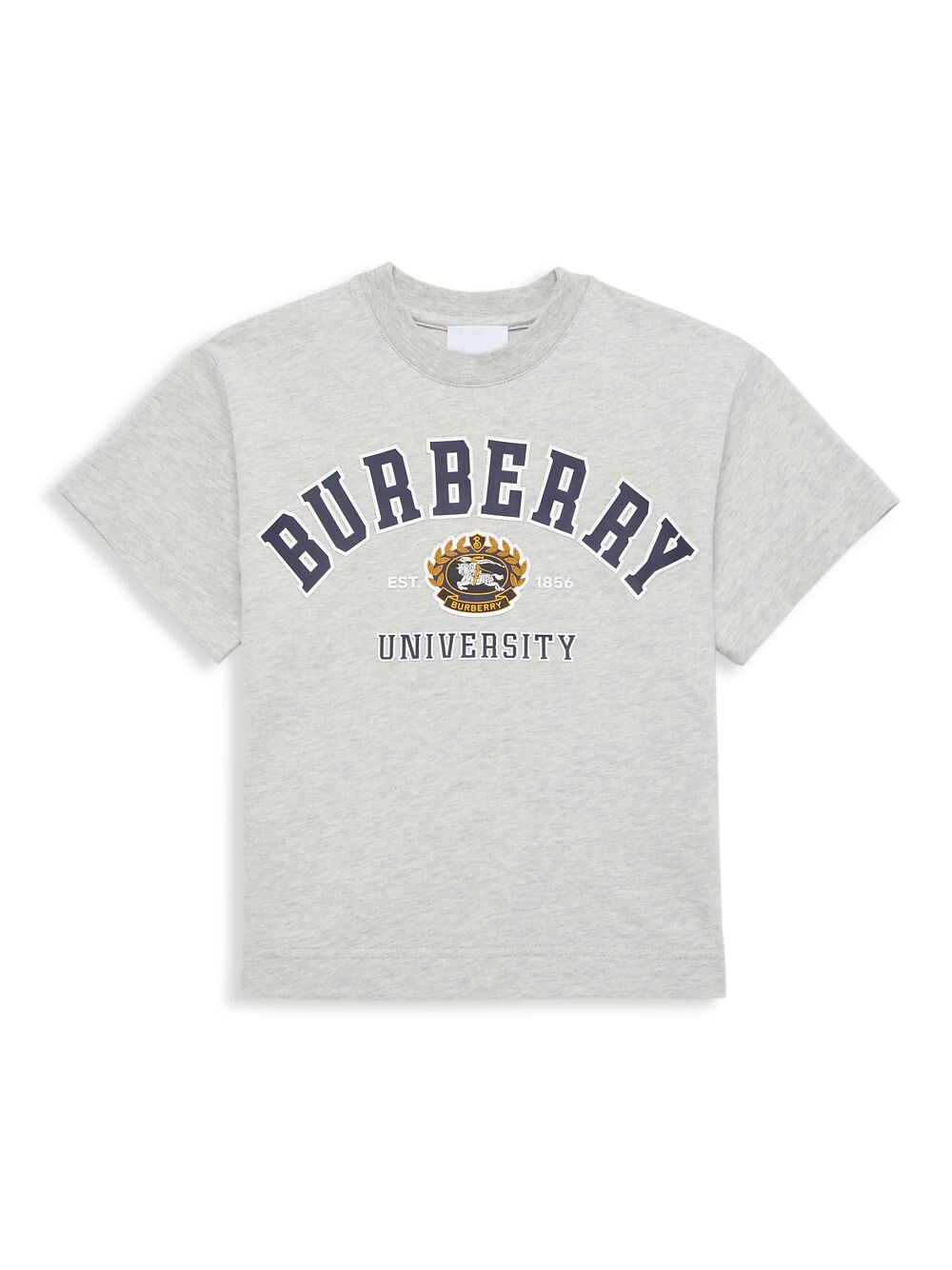 

Футболка Aldith Varsity для маленьких мальчиков и мальчиков Burberry, серый