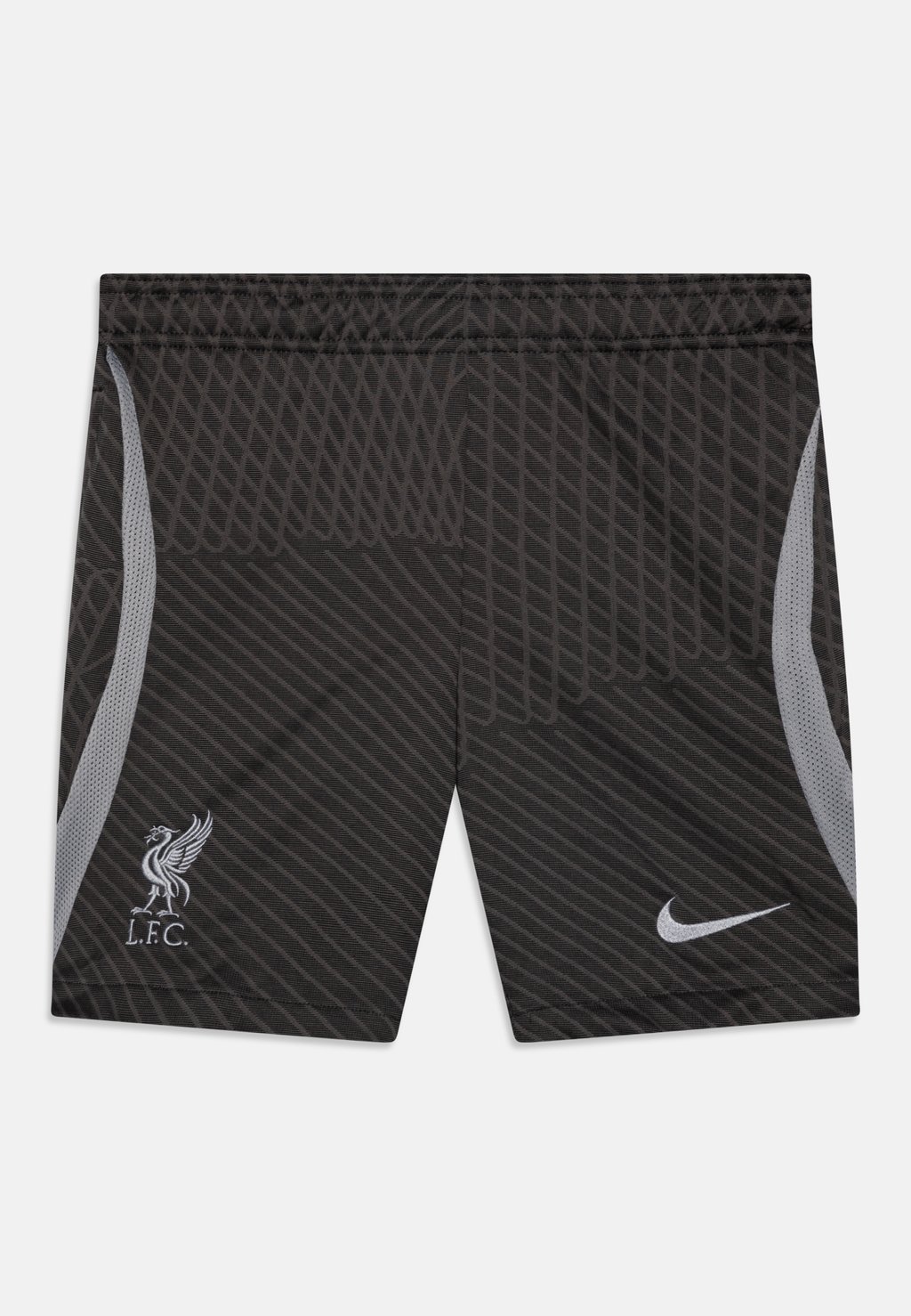 

Спортивные шорты Fc Liverpool Strike Unisex Nike, цвет anthracite/wolf grey