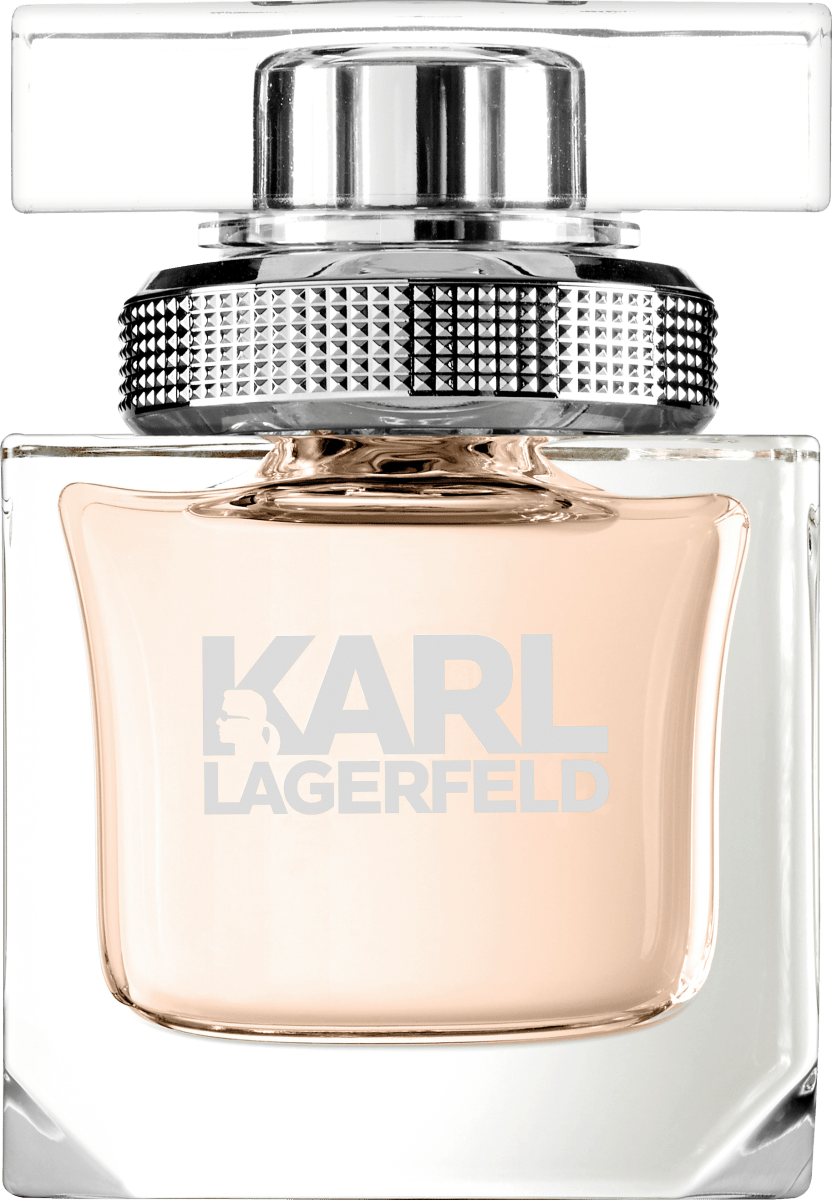 Парфюмированная вода 45 мл. Karl Lagerfeld женская парфюмированная вода karl lagerfeld women 85 мл