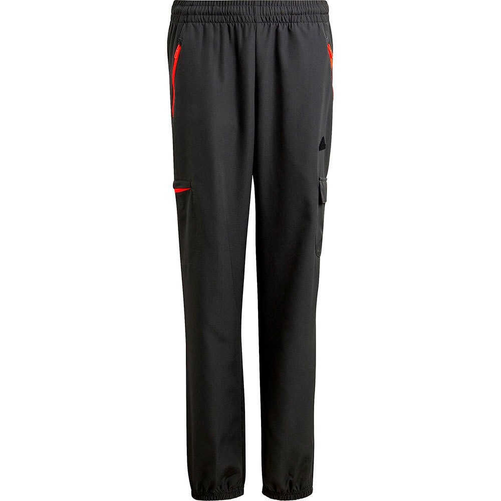 

Брюки adidas Ce Q2 Cargo, черный