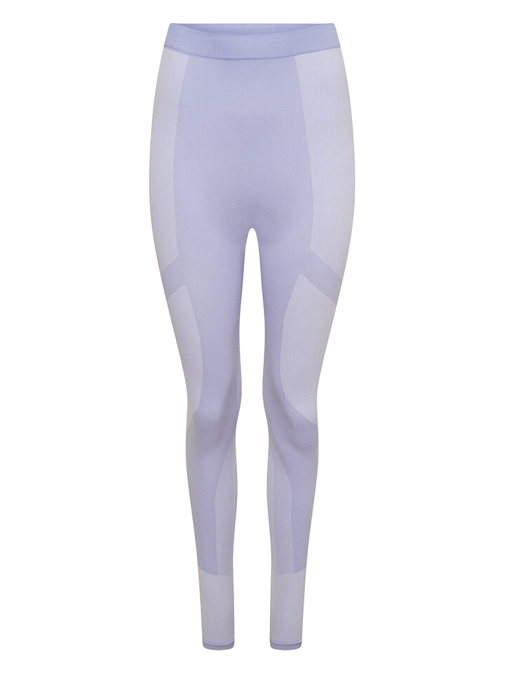 

Спортивные леггинсы Dare 2b Thermo In The Zone, светло синий