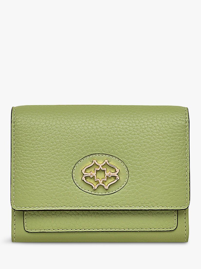 

Кошелек среднего размера с клапаном Radley Apsley Road Heirloom, хоста