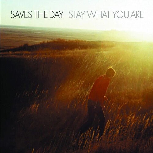 

Виниловая пластинка Saves The Day - Stay What You Are