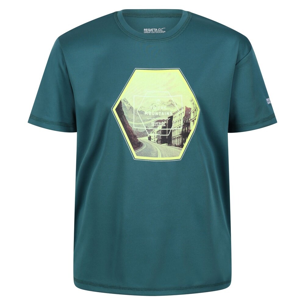

Футболка с коротким рукавом Regatta Alvarado VI Hexagon, зеленый