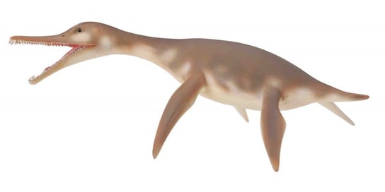 Collecta, фигурка динозавра Dolichorhynchops фигурка морского динозавра collecta правитоцерас
