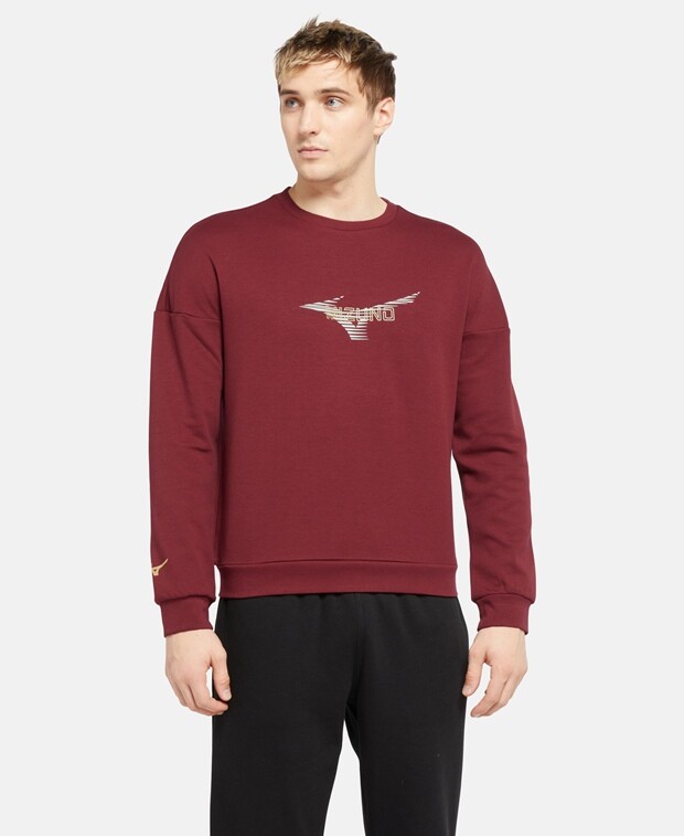 

Толстовка Mizuno, светло-серый