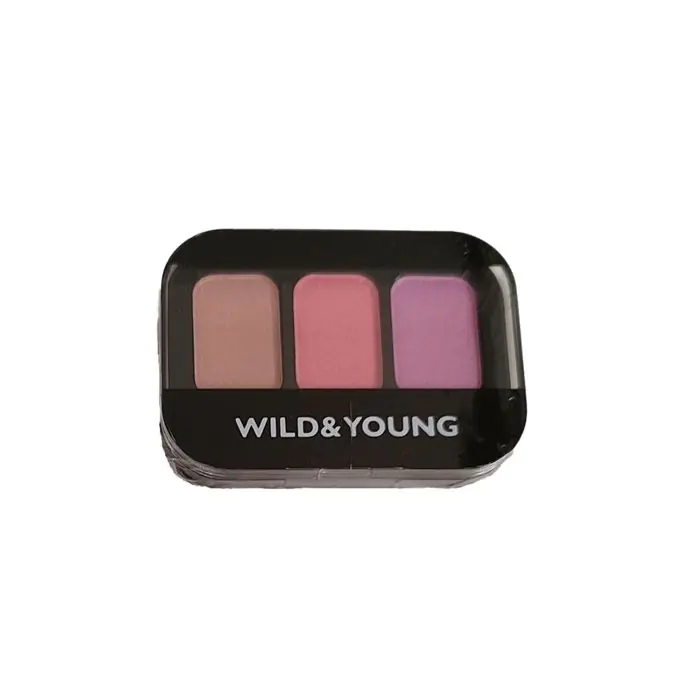 

Тени для век eyeshadow paleta de sombras Wild & Young, цвет 4