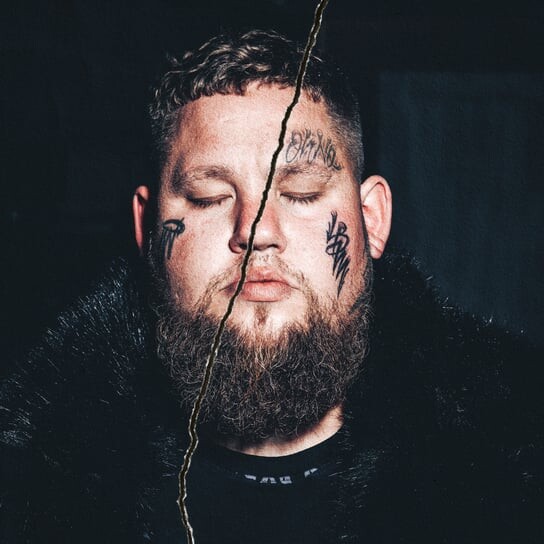 Виниловая пластинка Rag'n'Bone Man - Life by Misadventure (красный винил)