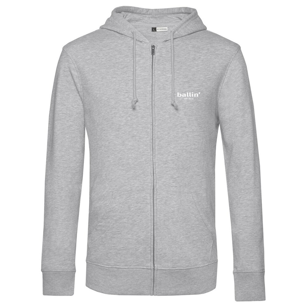 

Толстовка Ballin Full Zip, серый