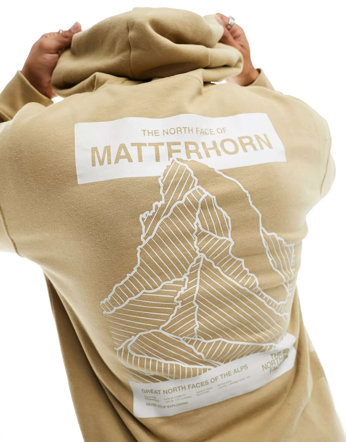 

Флисовая толстовка с принтом на спине The North Face Matterhorn