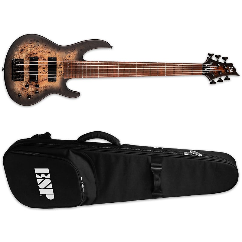 Басс гитара ESP LTD D-6 Burled Poplar Black Natural Burst Satin 6-String Electric Bass + ESP TKL Gig Bag D6 D 6