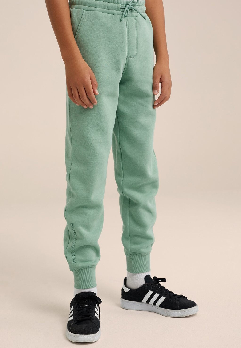 

Спортивные брюки WE Fashion, зеленые, Зеленый