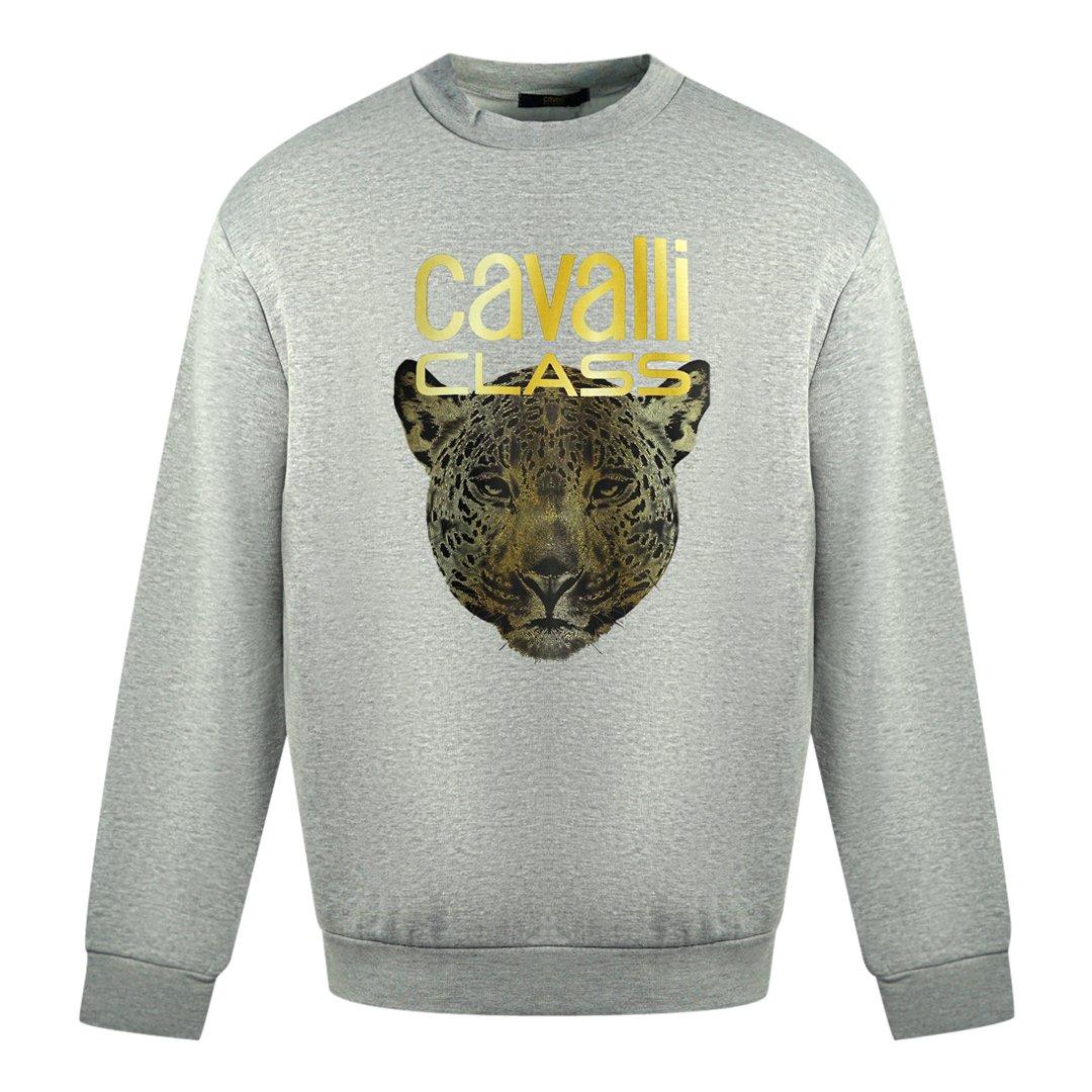 Серый джемпер с леопардовым принтом и логотипом Roberto Cavalli, серый тапочки roberto cavalli размер m красный серый