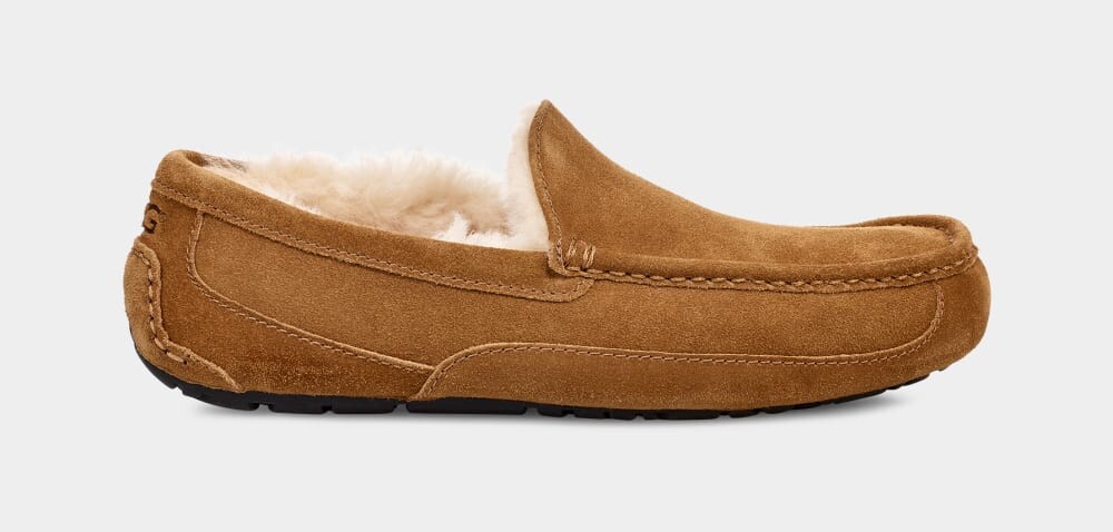

Домашние тапочки Ascot Slipper UGG, коричневый