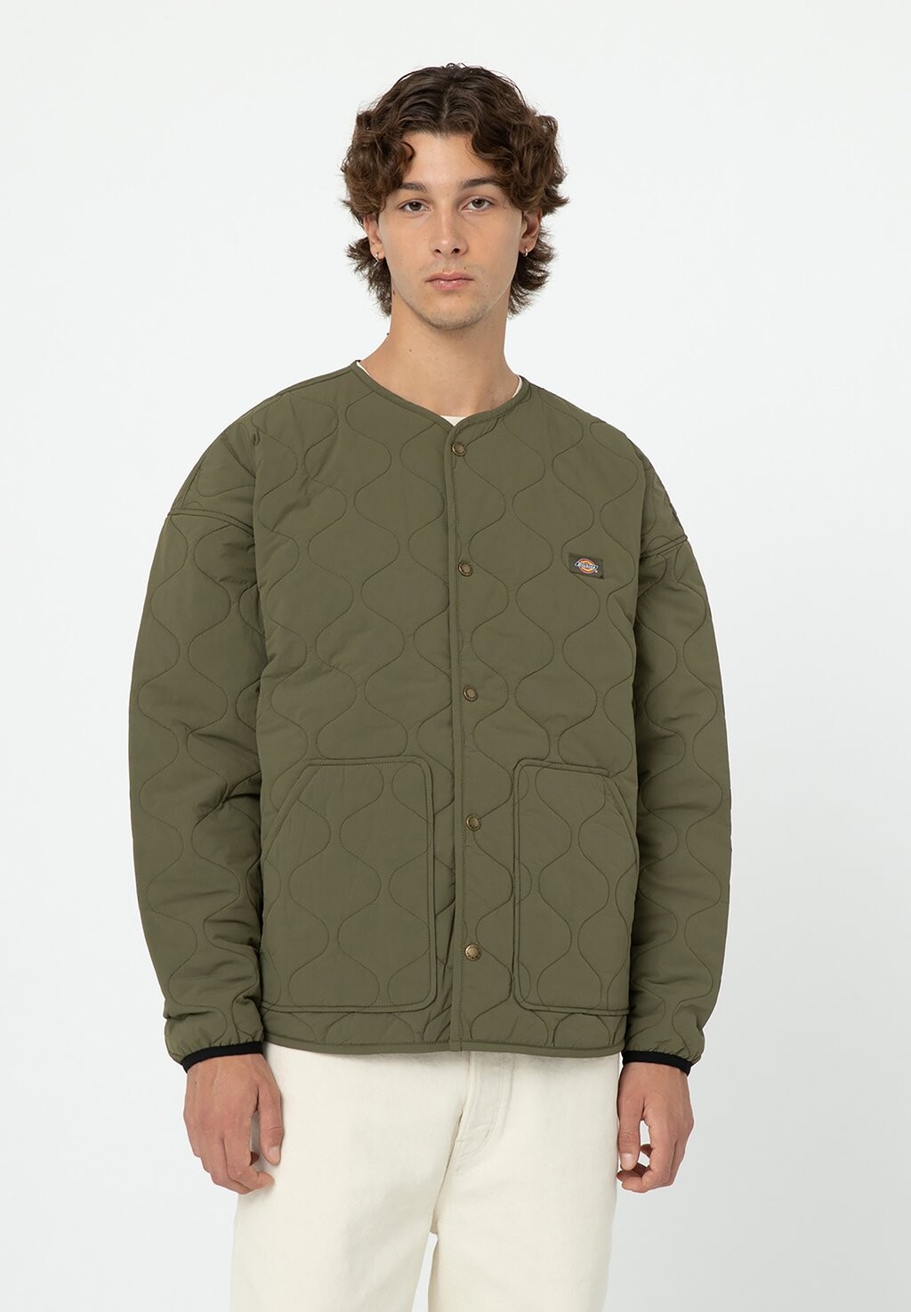 

Куртка Entertainment Dickies КУРТКА THORSBY LINER JACKET UNISEX, цвет miltary green