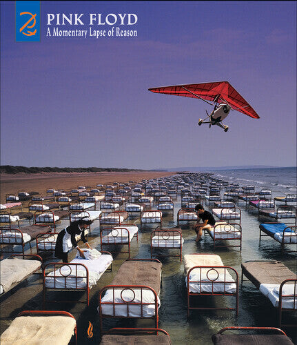 

CD диск Pink Floyd: A Momentary Lapse Of Reason: Remixed & Updated [Deluxe CD/DVD]